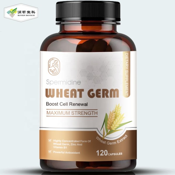 Spermidine Capsules Supplier - 500mg Wheat Germ Extract with Zinc 120 Capsules