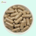 Maca Root Capsules Supplier - RUNXIN BIOTECH OEM ODM Men's Energy Herbal