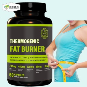 L-carnitine Pills Factory - Chinese Herbal Supplement Man Belly Burn Tablets