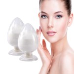 Hyaluronic Acid Powder Manufacturer - Cosmetics Grade Hydrolyzed Sodium Hyaluronate