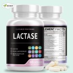 Digestion Capsules Factory - OEM Private Label Gut Colon Lactase Enzymes