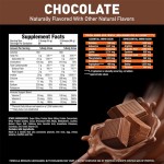 Whey Protein Powder Factory - Custom Sport Nutrition Isolate Mass Gainer