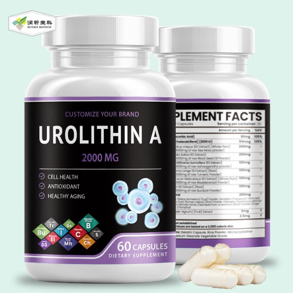 Urolithin A Capsules Manufacturer - RUNXIN OEM CoQ10 Resveratrol Immune Support