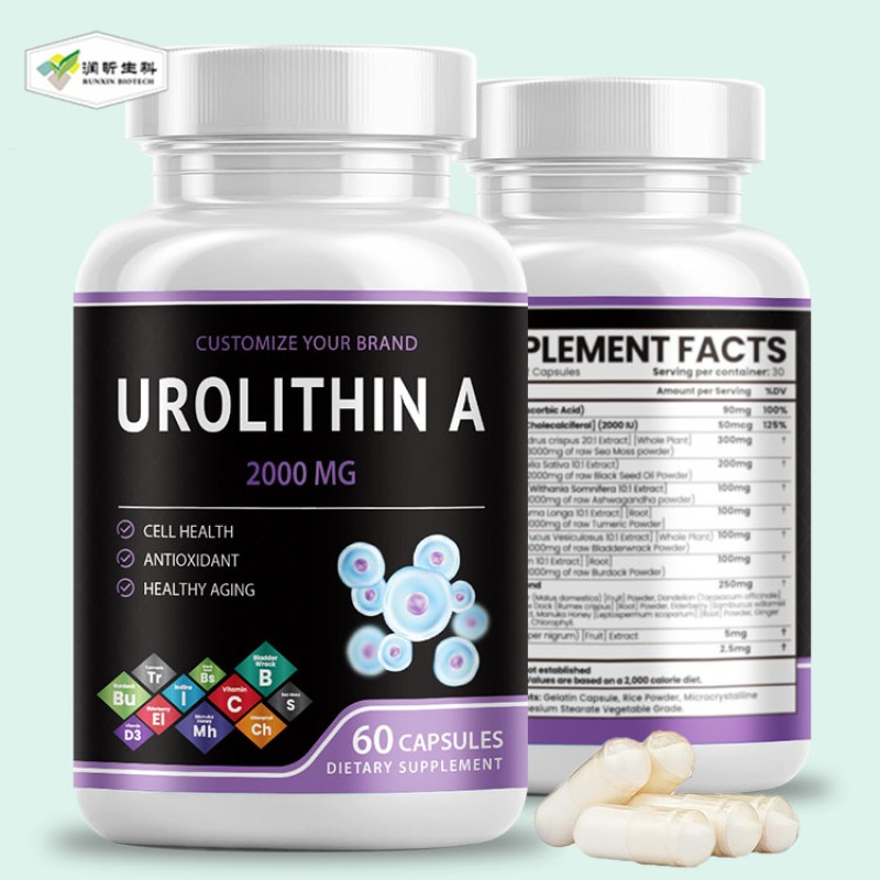 Urolithin A Capsules Manufacturer - RUNXIN OEM CoQ10 Resveratrol Immune Support