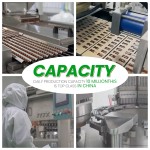 Sleep Capsules Factory - Hot Selling 500mg Magnesium L-Threonate Capsules