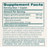 Gymnema Capsules Manufacturer - 100% Natural 600mg Leaf Extract Glucose Support