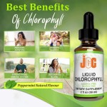 Chlorophyll Liquid Drops Manufacturer - Copper High Absorption