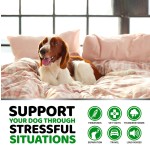 Dog Calming Chews Manufacturer - Stress Relief Joint Health Supplement