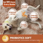 Pet Vitamins Supplier - Digestive Skin Coat Immune Chews