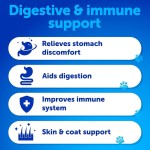 Pet Probiotics Supplier - Digestive Enzymes Gut Flora Chewable