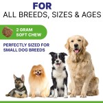 Dog Allergy Chews Manufacturer - Itching Skin Relief Salmon Flavor