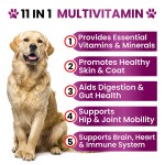 Pet Health Supplements Supplier - Customized Flavor Dog Multivitamin