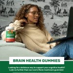 Lions Mane Gummies Supplier - Mushroom Brain Cognitive