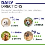 Dog Allergy Chews Manufacturer - Itching Skin Relief Salmon Flavor