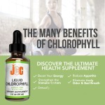 Chlorophyll Liquid Drops Manufacturer - Copper High Absorption