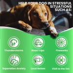 Pet Calming Chews Factory - Stress Anxiety Composure Soft Chews