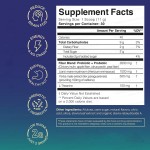 Yerba Mate Tea Factory - Peach Mango Gut Health Powder