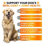 Dog Skin Coat Supplement Factory - Omega 3 Fish Oil Chewable