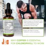 Chlorophyll Liquid Drops Manufacturer - Copper High Absorption