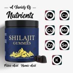Shilajit Gummies Factory - Himalayan Mood Minerals Candy