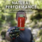 Energy Gel Factory - Fruity Flavors Running Gel