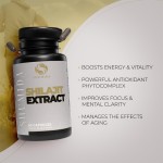 Himalayan Shilajit Capsules Manufacturer - Herbal Male Strength