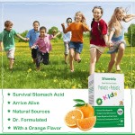 Nutrition Powder Factory - Prebiotics Probiotics Immune