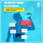 Hangover Recovery Drink Supplier - Anti Hangover Liquid Drink