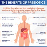 Vegan Women Supplement Supplier - 100 Billion CFU Prebiotics