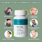 Chlorophyll Capsules Factory - Body Magic Dietary Supplement