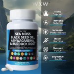 Sea Moss Capsule Manufacturer - Black Seed Oil Immunity Boost