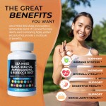 Sea Moss Capsules Manufacturer - Black Seed Oil Metabolism