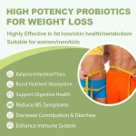 Probiotics Powder Factory - Digestion Health Prebiotic Powder