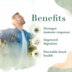 Chlorophyll Capsules Factory - Body Magic Dietary Supplement