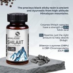 Shilajit Extract Capsules Factory - Private Label Immune Support