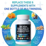 Sea Moss Capsules Factory - Organic Black Seed Oil Support