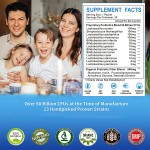 Probiotics Powder Manufacturer - 50 Billion CFU Digestion