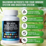 Herbal Supplements Factory - Detox Sea Moss Immune Support