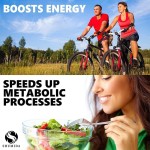 Shilajit Tablets Manufacturer - 85+ Trace Minerals Complex