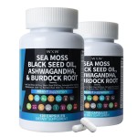 Sea Moss Capsules Factory - Organic Black Seed Oil Support
