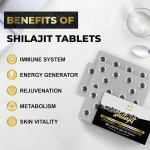 Shilajit Tablets Factory - Trace Minerals Fulvic Acid