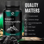 Shilajit Extract Capsules Manufacturer - Natural Metabolism Support