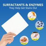 Laundry Detergent Sheets Manufacturer - Custom Logo Super Concentrated Eco Friendly