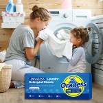 Laundry Detergent Sheets Supplier - Biodegradable Natural Fragrance Custom Logo