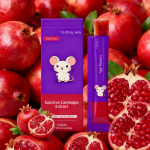 Garcinia Cambogia Gummies Manufacturer - Natural Appetite Control