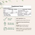 Organic Collagen Powder Factory - Vital Protein Skin