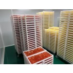 Hair Skin Nails Gummies Supplier - Nature's Bounty Multivitamin