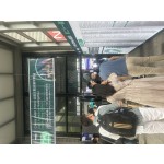 Plant Protein Powder Supplier - Organic Vegan Pea Soy