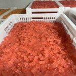 BBL Gummy Bears Manufacturer - Butt Enhancement Supplement