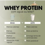 Whey Protein Isolate Powder Factory - 80% WPC WPI 90%